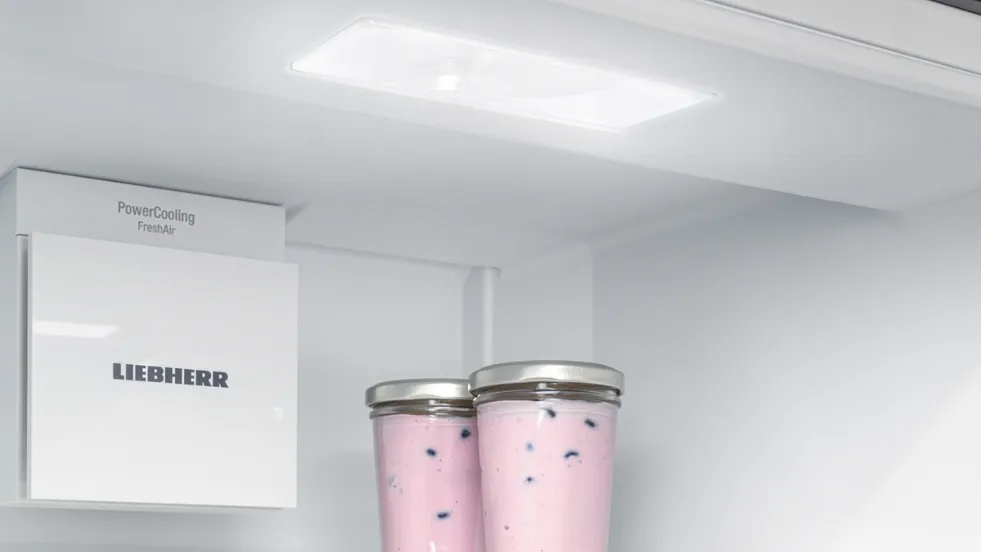 LED ceiling lighting