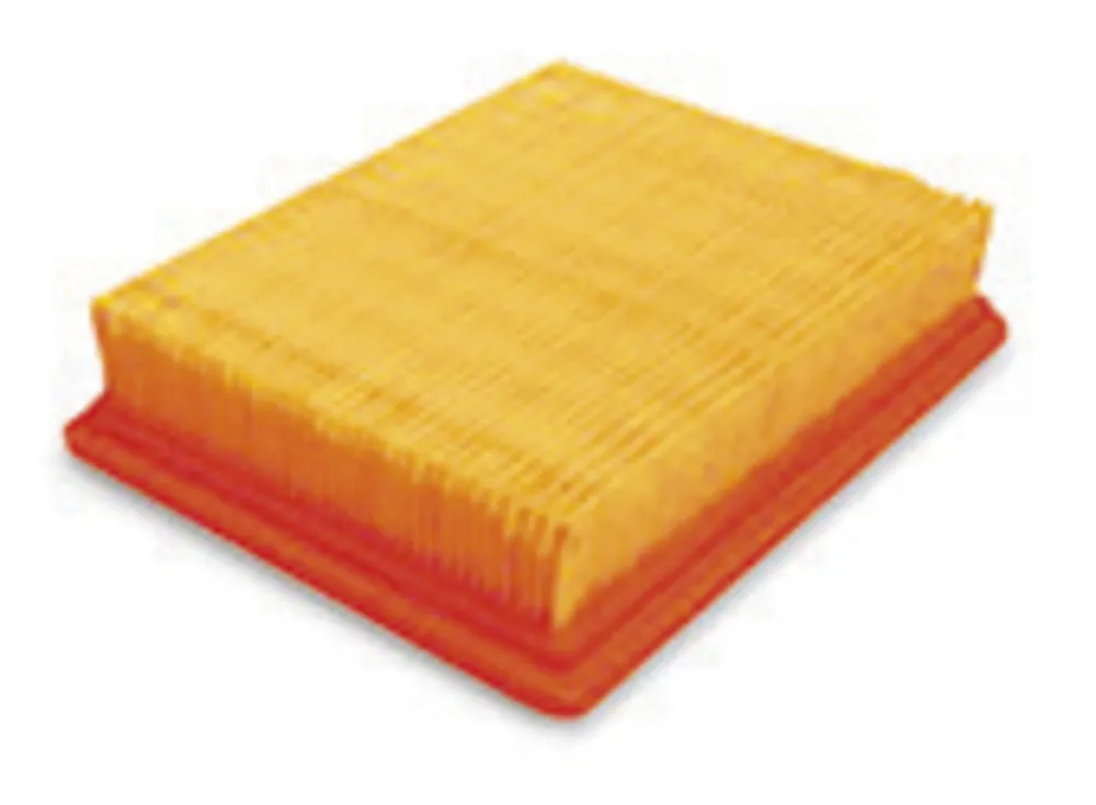 Image HEPA Filter OT-012 for Profi 3