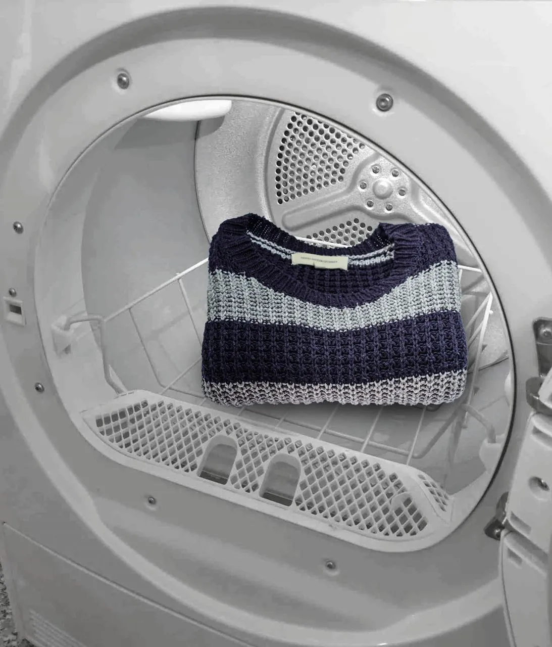 Image Shoe and Sweater Basket for Dryer (DRR01)