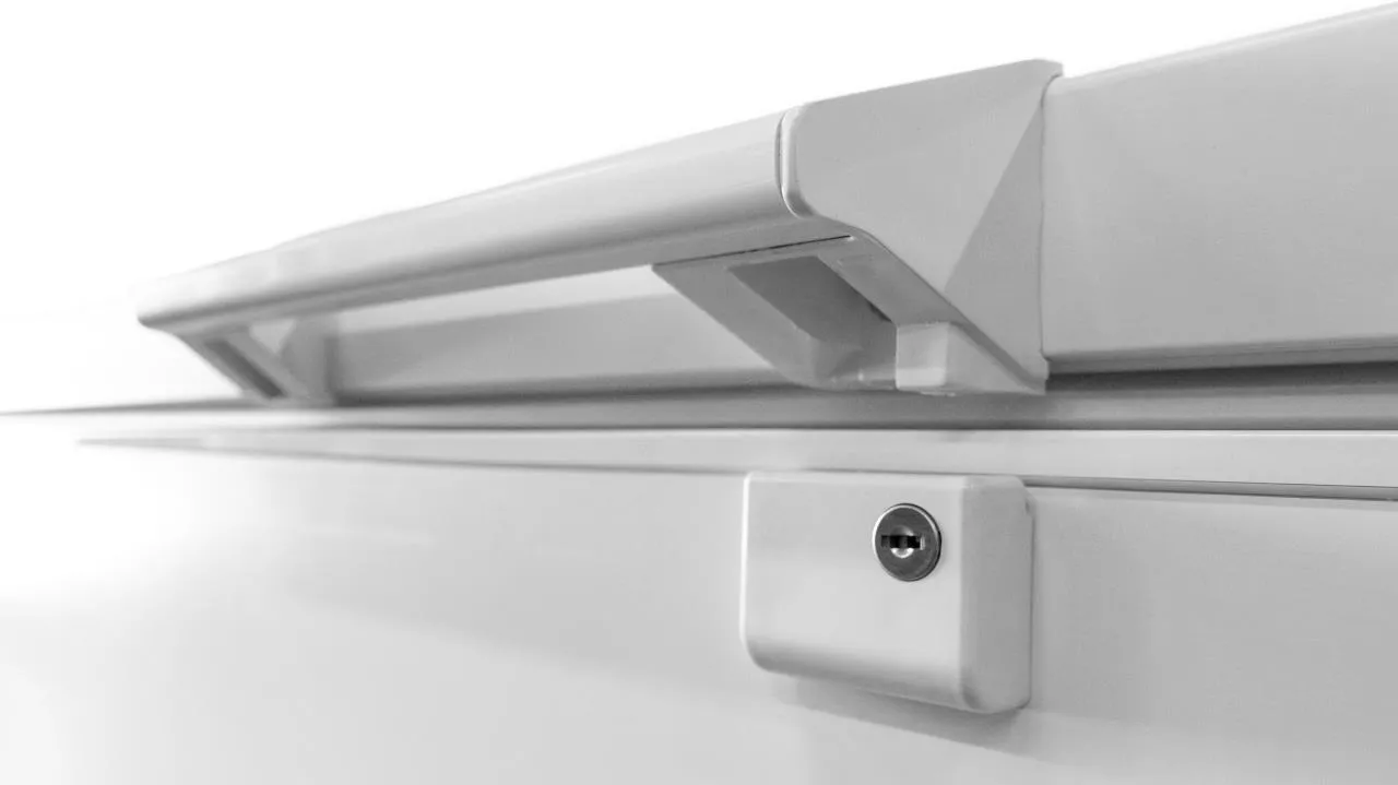 Image CHEST FREEZER RFC572C