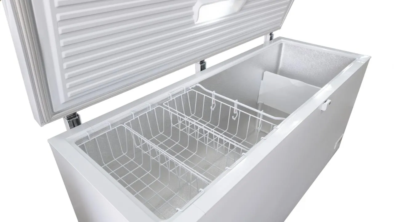 Image CHEST FREEZER RFC469C