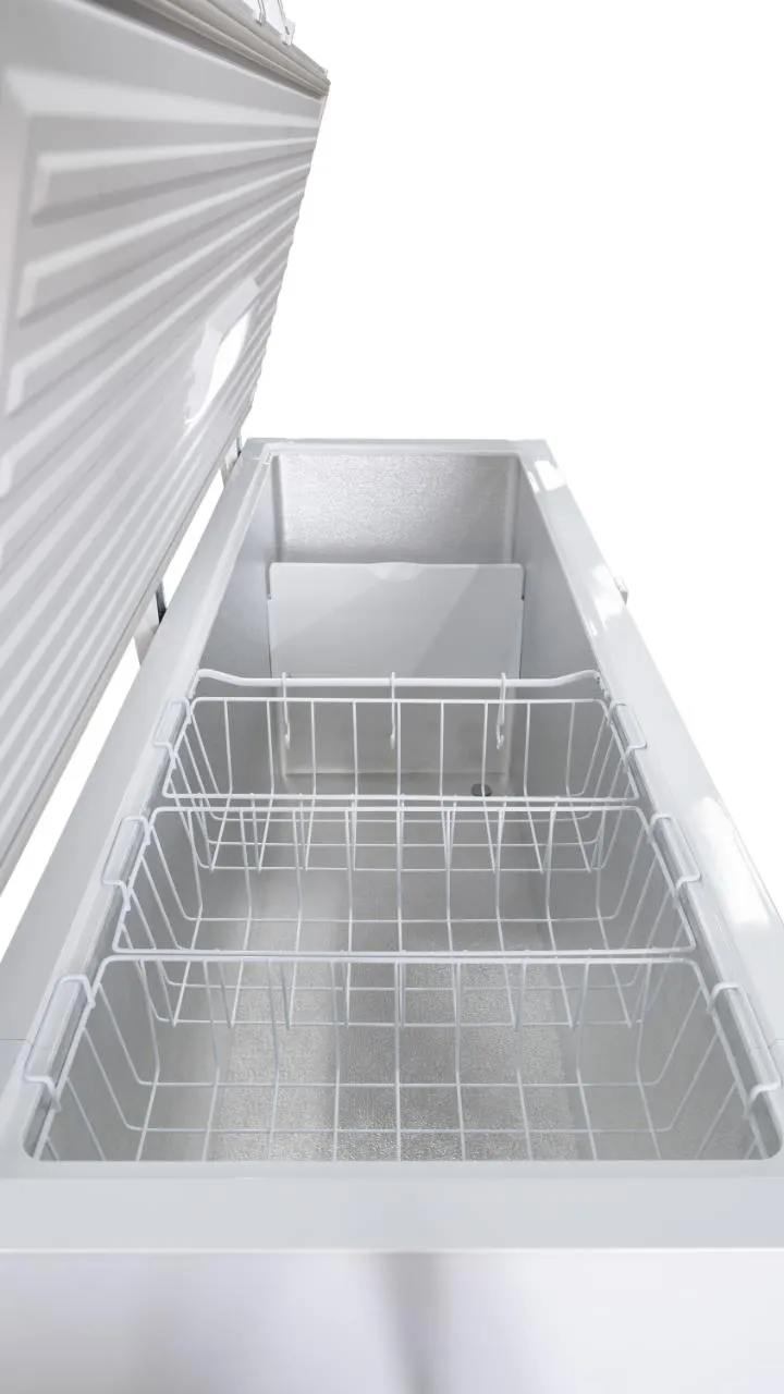 Image CHEST FREEZER RFC469C