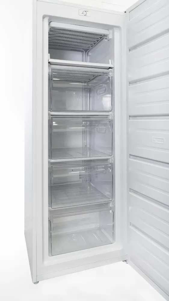 Image FREE-STANDING FREEZER RF168W
