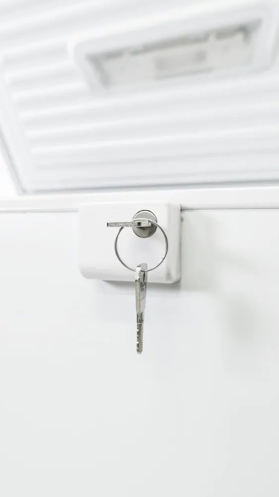 Image CHEST FREEZER RFC215D