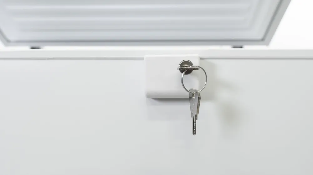 Image CHEST FREEZER RFC215D