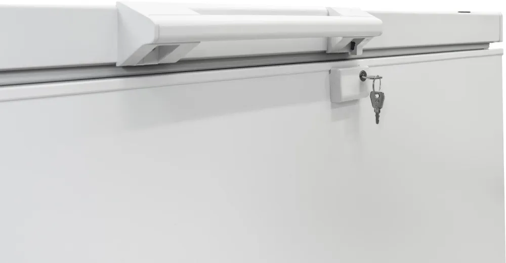 Image CHEST FREEZER RFC215D