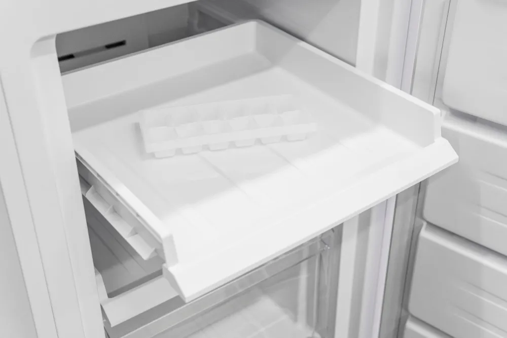 Image FREE-STANDING FREEZER RFN161WD