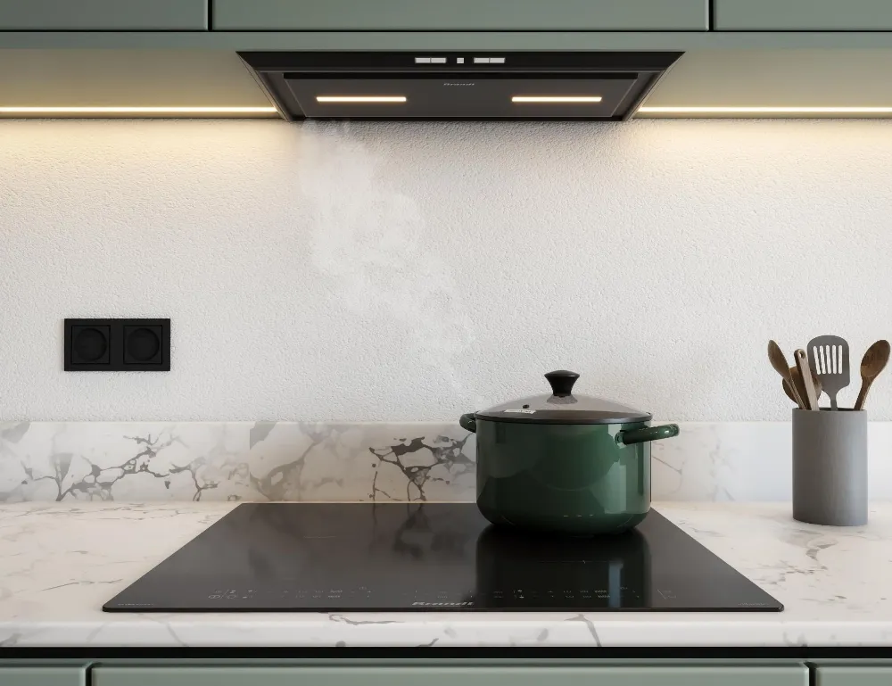 Image FULLY BUILT-IN HOOD BHG2552B