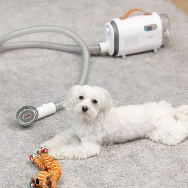 Image Multifunctional Vacuum Cleaner PET MPM MOD-1000 6-in-1