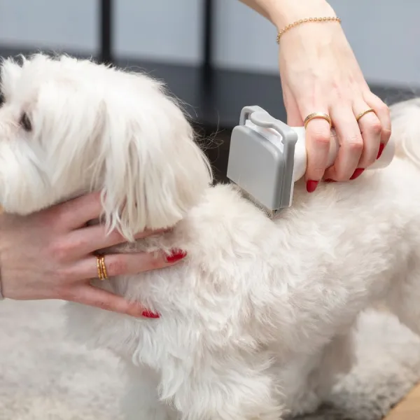 Image Multifunctional Vacuum Cleaner PET MPM MOD-1000 6-in-1