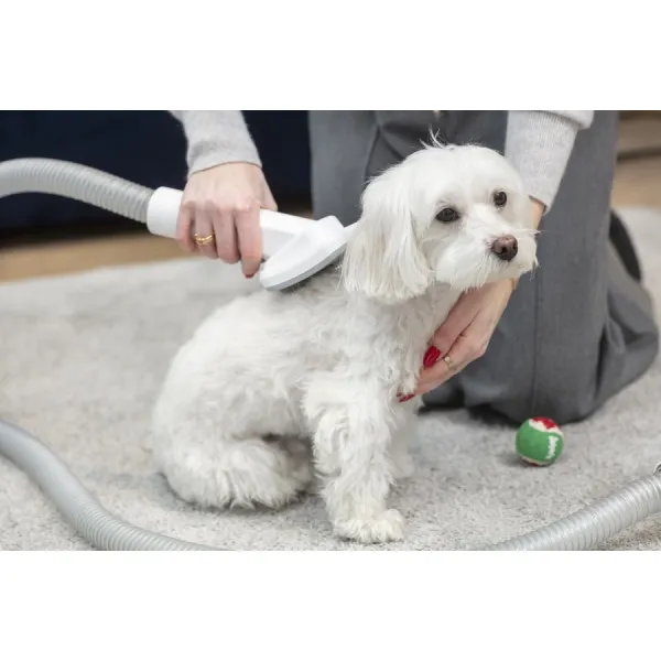 Image Multifunctional Vacuum Cleaner PET MPM MOD-1000 6-in-1