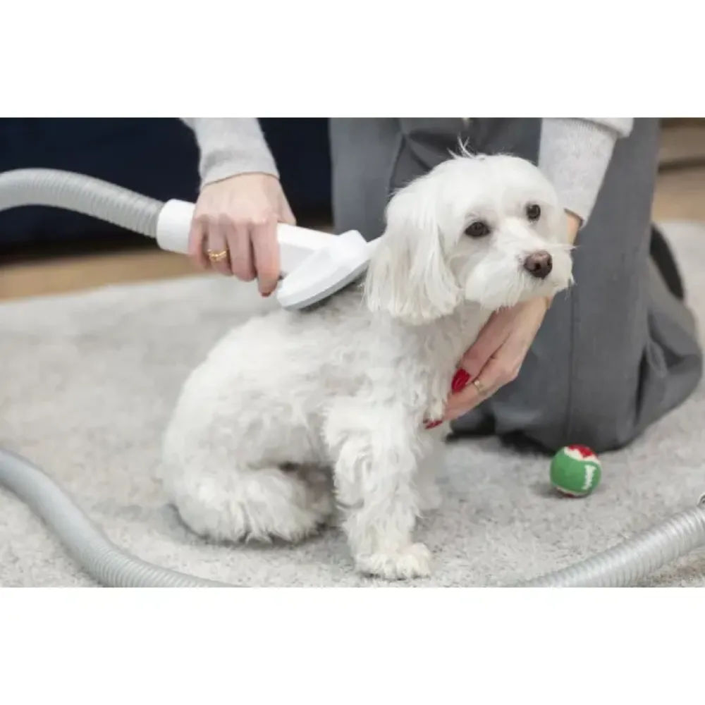 Image Multifunctional Vacuum Cleaner PET MPM MOD-1000 6-in-1