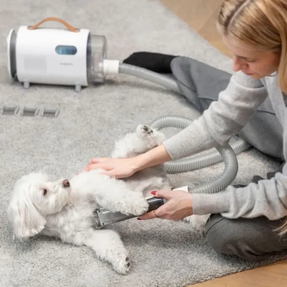 Image Multifunctional Vacuum Cleaner PET MPM MOD-1000 6-in-1