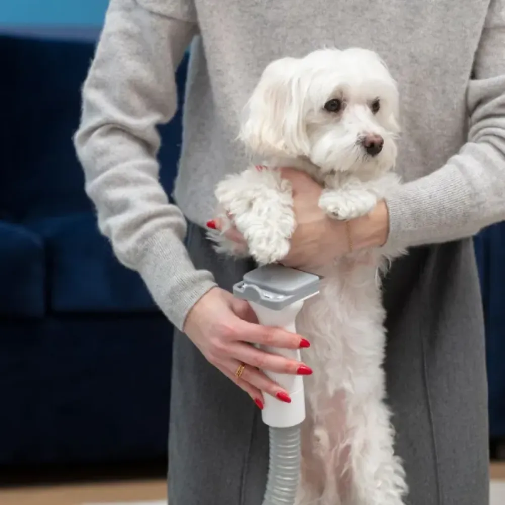 Image Multifunctional Vacuum Cleaner PET MPM MOD-1000 6-in-1