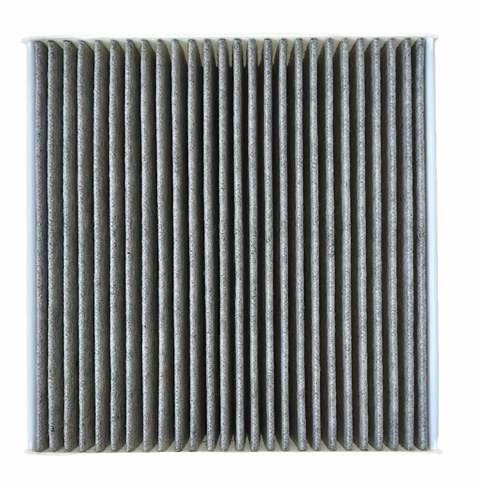 Image Carbon filter Long Life FW217 1 pc