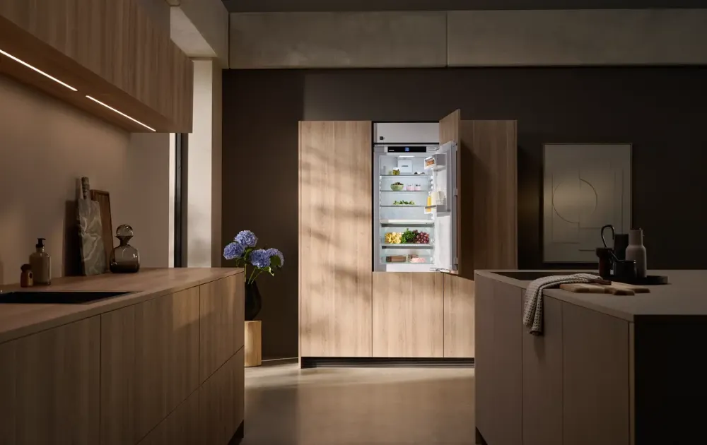 Image Built-in fridge-freezer ICBa 5123